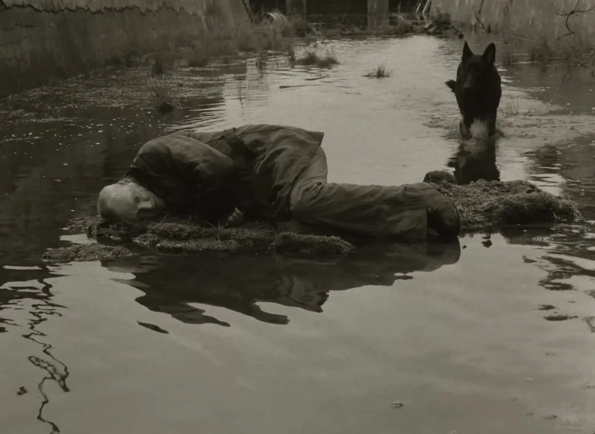 The black dog wading across to the Stalker asleep on a tiny islet, in sepia.