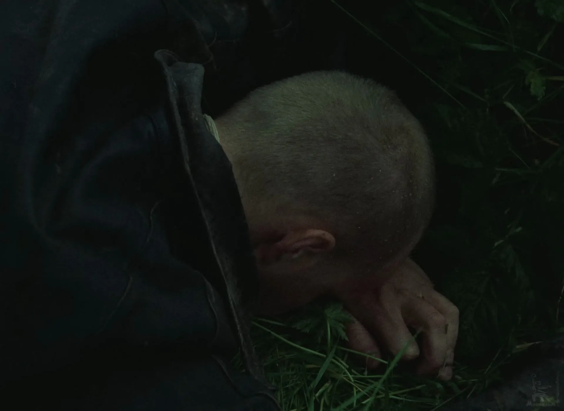The Stalker lying face down in the grass of the Zone, his head on his hand, a small insect on one finger.