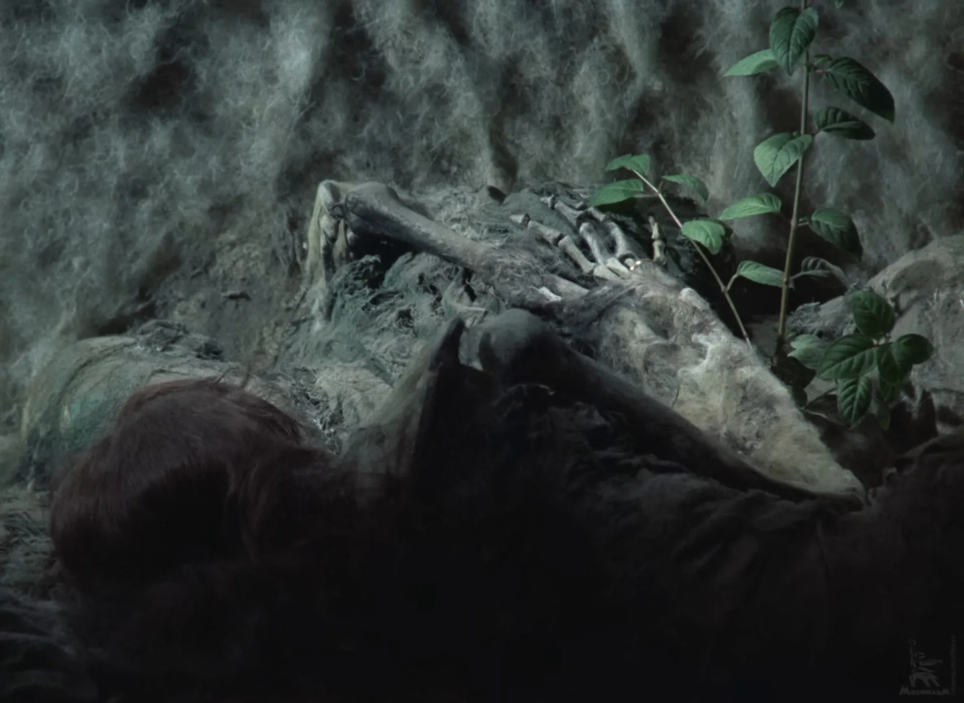 Two skeletons in an embrace under a blanket of dust, a bony hand on a shoulder and a green shoot growing through the bones.