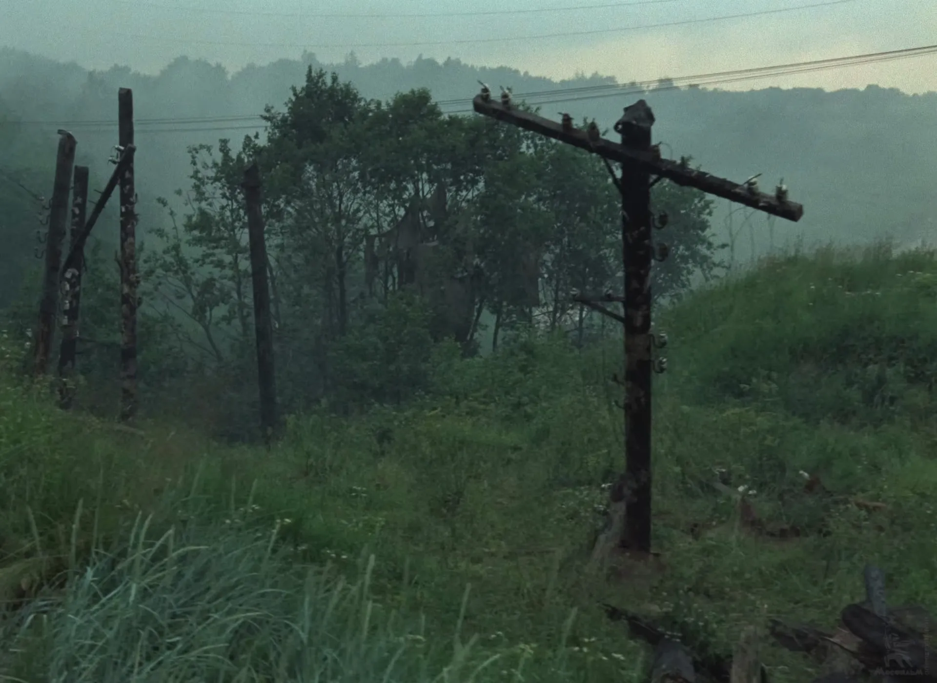 The first color image of the Zone: a green slope with leaning telegraph poles and trees in mist.