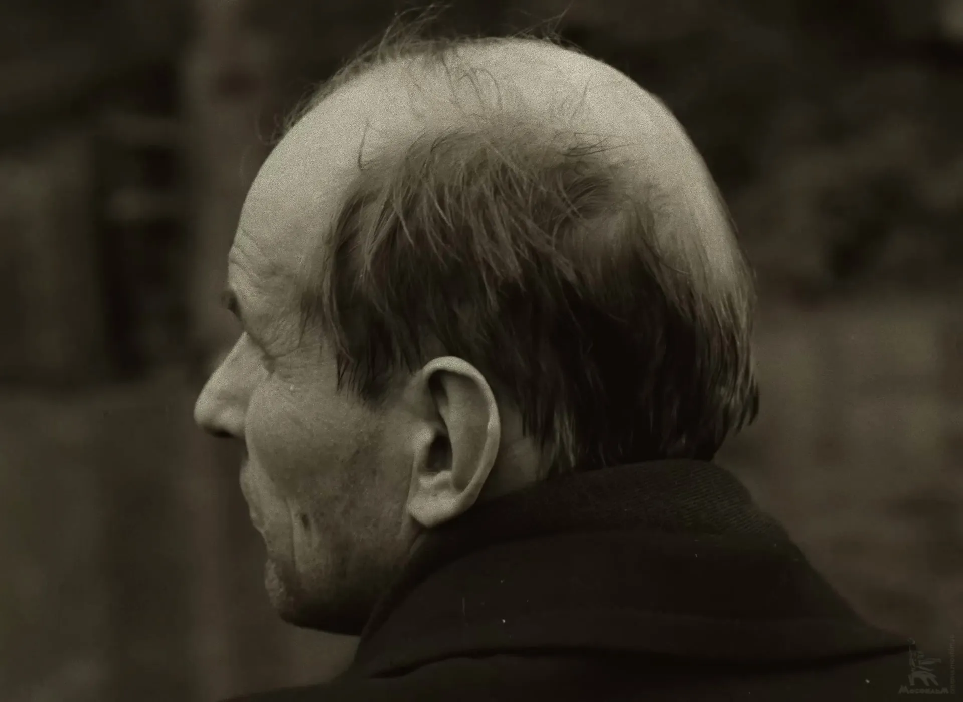 The back of the Writer’s head in sepia on the railcar, seconds before the film turns to color.